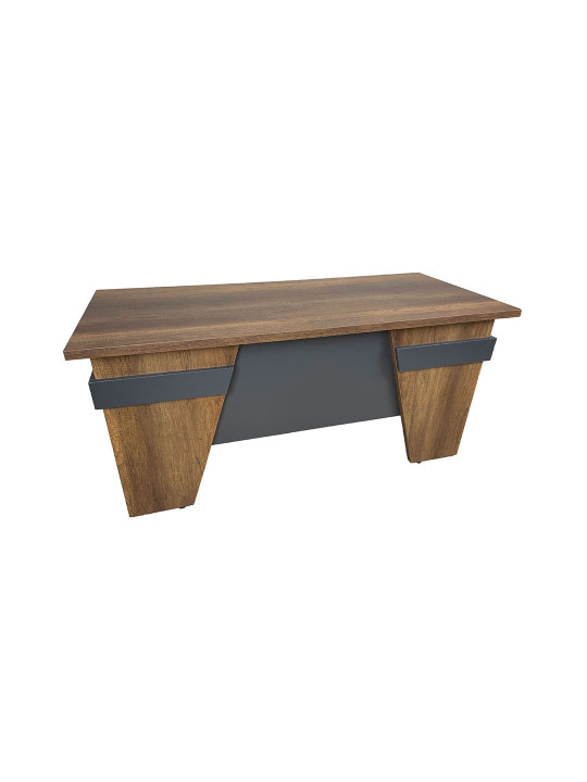 GOLDSİT Efes Çalışma Masası 160*69 cm