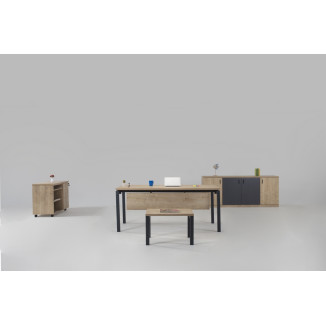 Motto Yönetici Takımı 180