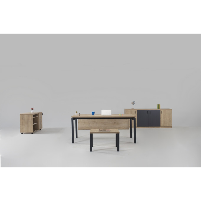 Motto Yönetici Takımı 180